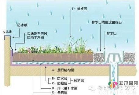 景觀規(guī)范設(shè)計-屋頂花園設(shè)計規(guī)范摘要