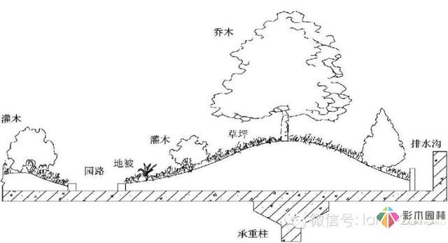 景觀規(guī)范設(shè)計-屋頂花園設(shè)計規(guī)范摘要