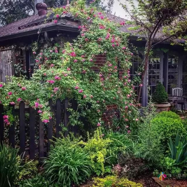 別讓花園空著，彩木園林給您打造一個花園式庭院