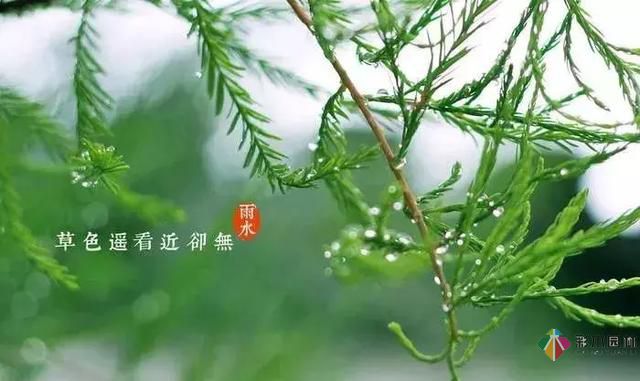 17種園林綠化種植技術及處理辦法，值得珍藏！