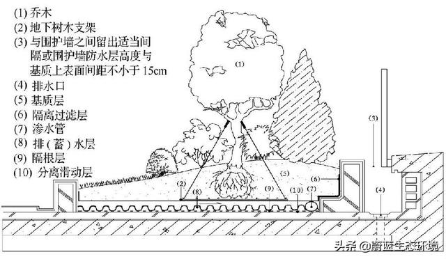 屋頂花園設計規范及植物配置！值得珍藏