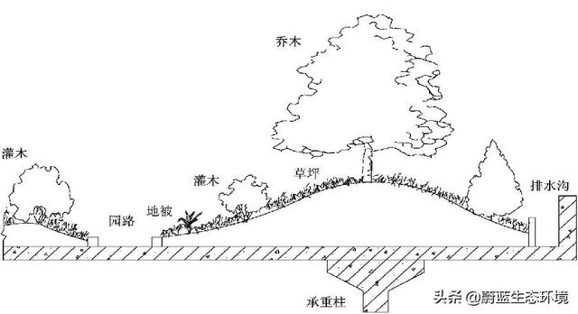 屋頂花園設計規范及植物配置！值得珍藏