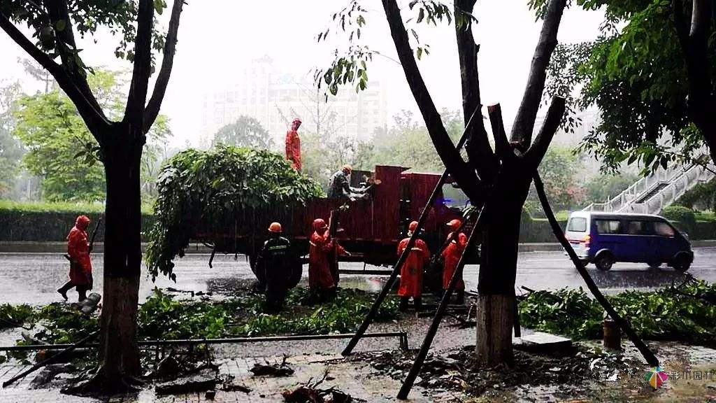 夏季雨季園林景觀工程施工要注意哪幾點(diǎn)？