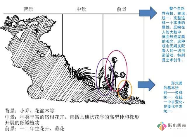 庭院花境園藝設計和植物搭配需要哪些要求？