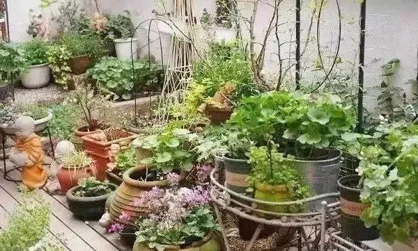 百搭的私家花園設計風格總結經驗營造您的小花園