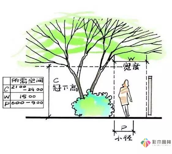 這份小花園設計思路，也許對你又不少幫助