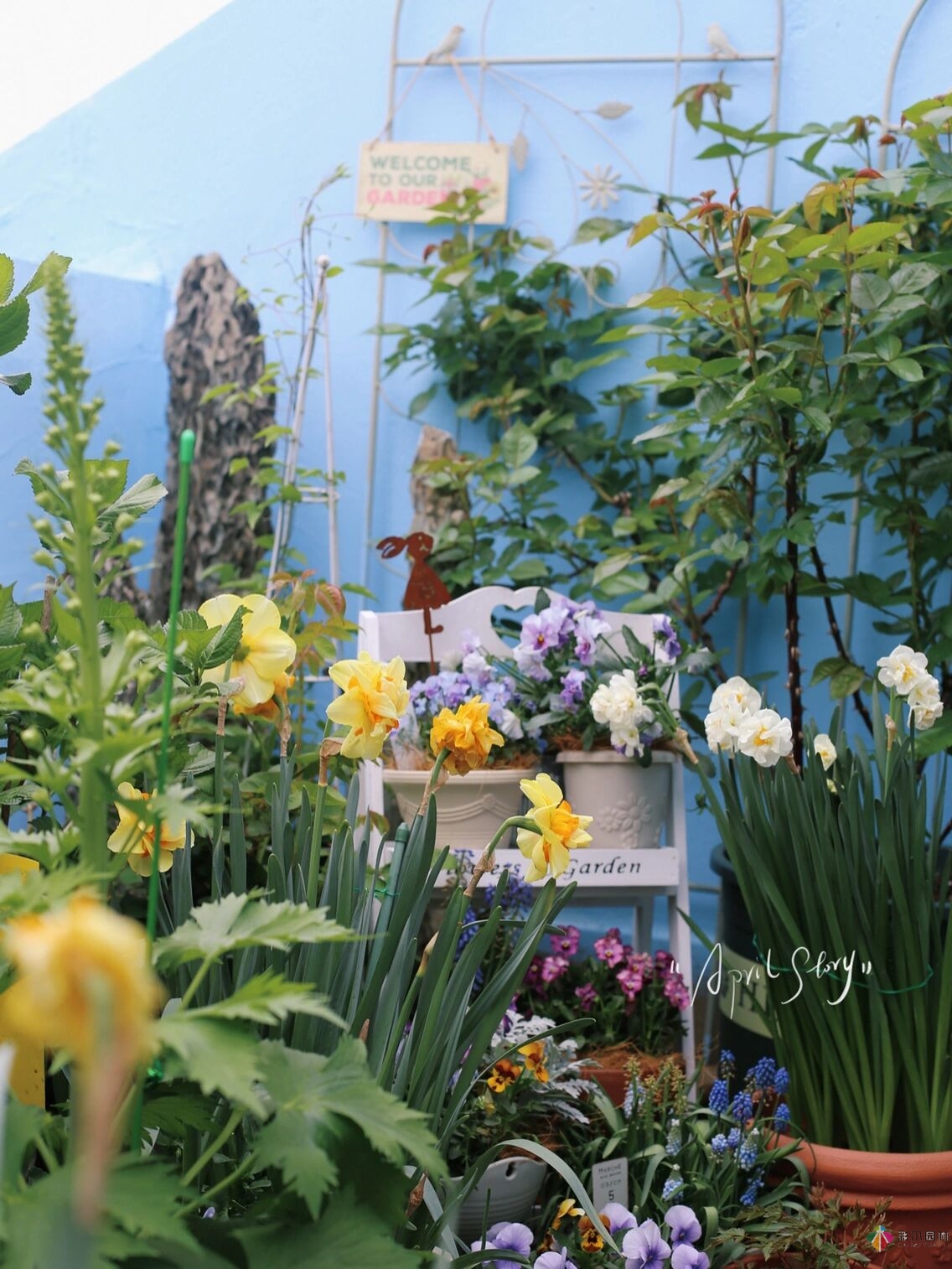 30㎡復(fù)式露臺(tái)，種花種草打造“sky 花園”，折騰了一年多，