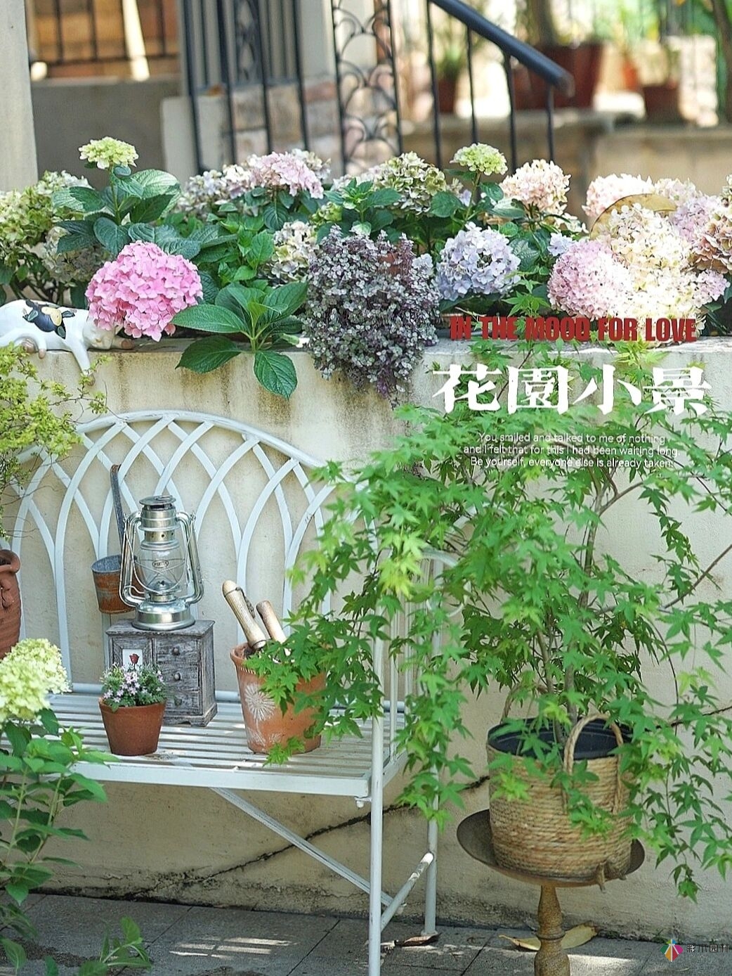 DIY園藝:自建設計100㎡花園?；ú涣硕嗌馘X，卻很有成就感。